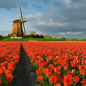 Netherlands good life